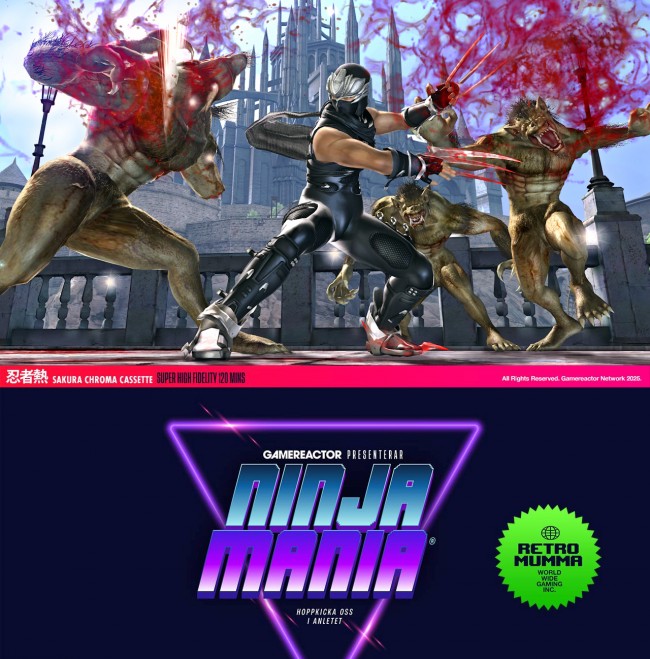 Dünyanın en iyi ninja oyunları: Bölüm 1
