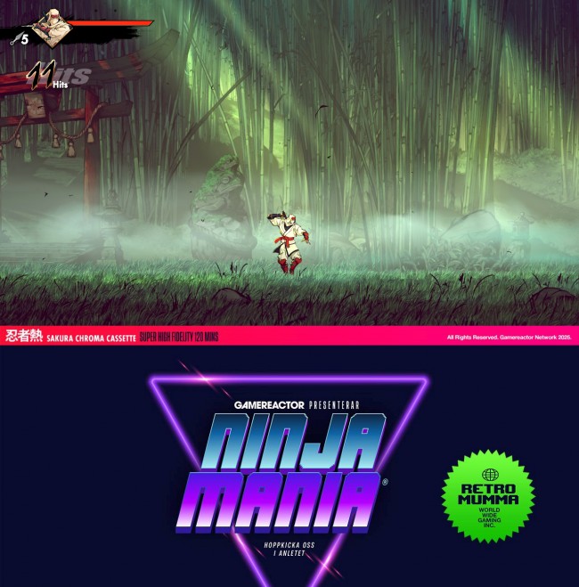 Dünyanın en iyi ninja oyunları: Bölüm 1