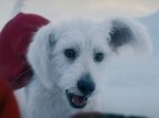 Superman 'ın köpeği, kurtarma köpekleri için yapılan aramaları %513 oranında artırdı