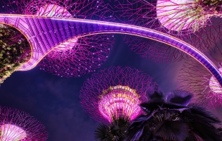 Singapur, esporu resmi bir spor olarak tanımak istiyor